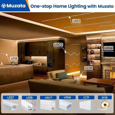 ข้างนอก กันน้ํา 12/24V ซิลิโคน LED แสงสตรีป สําหรับตกแต่งบ้าน Neon LED แสงสตรีป ขาว 16.4ft/5m Neon แสงสตรีป 12V ซิลิโคน กันน้ํายืดหยุ่น LED Neon สายไฟสําหรับห้องนอนเทศกาล