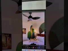 พัดลมเพดานพร้อมไฟ LED คุณภาพดี ขายดีที่สุด